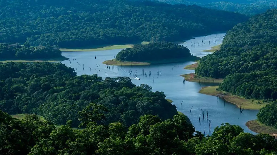Bed & Breakfast Green Leaf Home Stay Thekkady