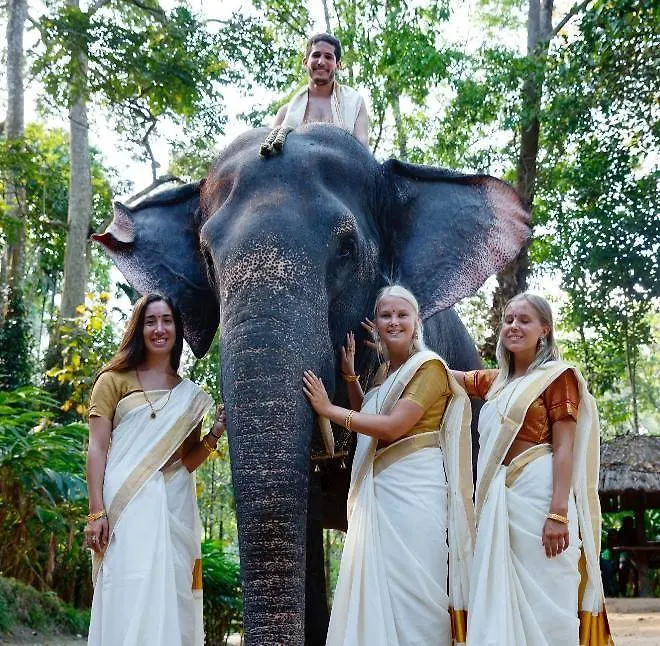 Bed & Breakfast Green Leaf Home Stay Thekkady